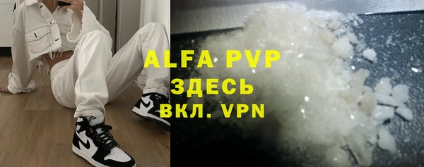 стафф Алексин